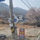 천태산장
