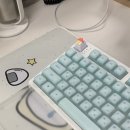 5해향엣지헤어 | 26년 1월 광고 없는 내돈내산 사무실, 생활, 뷰티, 잡화 등 추천템(올리브영, 다이소, 이케아, 쿠팡...