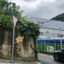 키즈엘리스숲어린이집