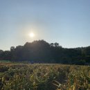 팔봉농장 이미지