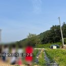 보리네숲어린이집 이미지