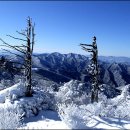 산(山) / 작사: 허윤석 / 작곡: 조두남 / 노래: 곽신형 이미지