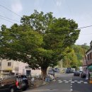 삼삼슈퍼 이미지