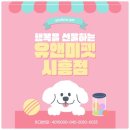 세븐일레븐 춘천후만점 | 춘천 푸들분양 후기｜유앤미펫에서 만난 귀엽고 똑똑한 아기 강아지