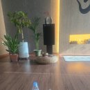 지금요가 - 천안시 서북구 두정로 188 | 두정동 요가 지금요가 빈야사 수업 후기