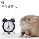 명신인쇄(주) | 헤맨만큼 내 땅이다, 23년 인생 첫 면접