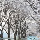 화개농협주유소 이미지