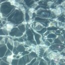 자유하는 이미지