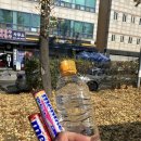 이마트24 안산노을채점 | 안산역에서 인스파이어 아레나 공연장 가는 무료 셔틀버스타고 콘서트 다녀온 후기