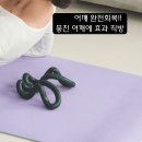 바디 치트(Body Cheat) 이미지