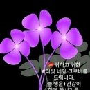 L’Amore che non si dice 이미지