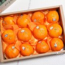 원택농장 이미지