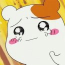달꽃담