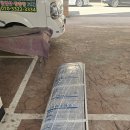 신트리로 이미지