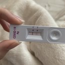 클라무.포스댄스 합동공연 | 2022년 3월 / 코로나 확진부터 댄스 프로젝트까지, 피곤하다 피곤해 현대사회