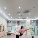 전문성과 정성이 돋보이는 검단발레 예종아르떼무용학원 다녀본 솔직 리뷰