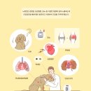 월평동물병원 이미지