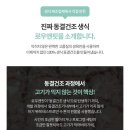 오션 캣 이미지
