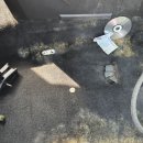 스마일크리닝 이미지