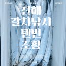 동원낚시 | 진해 갈치 낚시 출조 후기