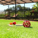 파인힐애견펜션 이미지