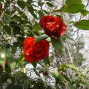 우슬체육관 이미지