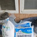 비로촌농장 네이버블로그