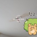 남도전기조명 - 광명시 광명로 919 | 남도전기조명