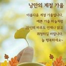 10월5일 고발뉴스 이미지