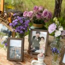 밀드플레 이미지