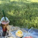 세븐일레븐 경주대릉원점 | 경주 황리단길 맛집 디저트 타르당 생과일 모찌 양쯔간루 피크닉 후기