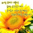 형법 자존심 손상죄 이미지