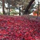 지축산 - 동래구 차밭골로20번길 39 | 지축산