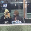 혜성미트 | [닌텐도월드입장제한없던데] 겨울 오사카 유니버셜 스튜디오 오픈런, 후기, 꿀팁