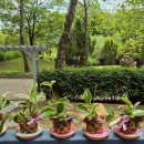 옥구공원숲속도서관 이미지