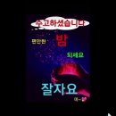 .낙동강 하류 철새[2024년 12월 14일(음:11월 14일)일출 07시:38분.일몰17시 14분] 이미지