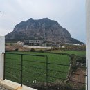 빌라노이제주 | 빌라노이 제주 산방산 숙소 301호 내돈내산 후기