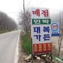 대복민박 이미지