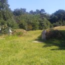 월성박씨종중묘역 이미지