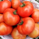 청정2농장 이미지