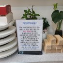 스위트안나 이미지