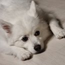 향촌우리약국 | 나는야 흑흑요리사