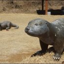 섬진강어류생태관 이미지