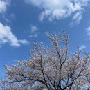 남대천제방길 이미지