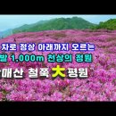 황매산 철쭉평원은 해발 1,000m의 국내 최대규모 고산 철쭉정원(850m까지 차로 직접 올라 등산없이 신들의 정원산책 가능 이미지