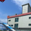 헤이도그 이미지