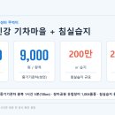 섬진농장 | 곡성 섬진강 기차마을 여름 뚜벅이 가성비 총정리 2026 — 증기기관차·침실습지 입장료·코스·1인 예산