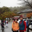 고교 졸업 40주년 제주도 수학여행 이야기 이미지