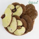 산골버섯 이미지