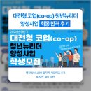 뉴리더 | 대전형 코업 청년뉴리더 인턴십 합격후기